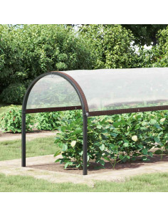 Copertura per Piante con Occhielli 2x4 m in Polietilene 2