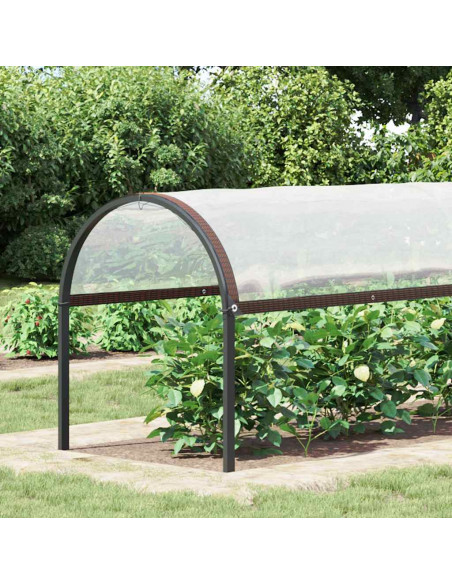 Copertura per Piante con Occhielli 2x5 m in Polietilene