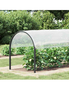 Copertura per Piante con Occhielli 2x6 m in Polietilene 2