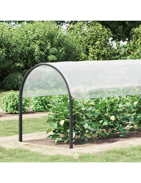 Copertura per Piante con Occhielli 2x6 m in Polietilene