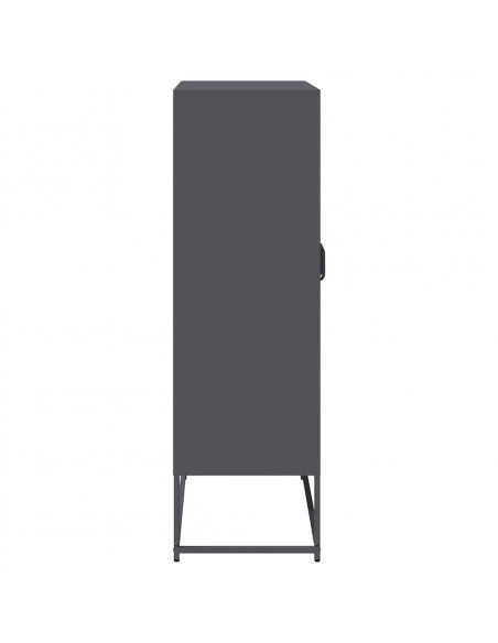 Credenza Antracite 68x39x123 cm Acciaio