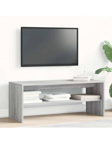 Mobile Porta TV Grigio Sonoma 100x40x40 cm in Legno Multistrato