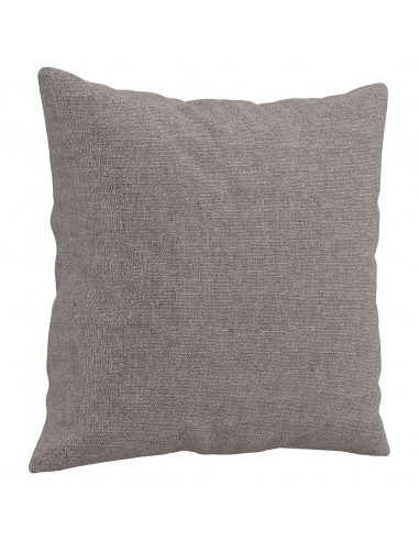 Set Divani 2 pz con Cuscini Tortora in Tessuto