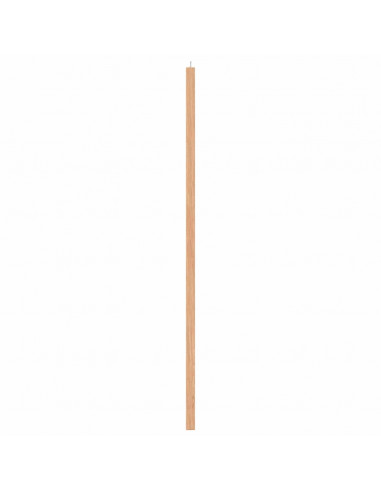 Tavola in Sughero con Cornice Legno Massello di Pino 100x55 cm