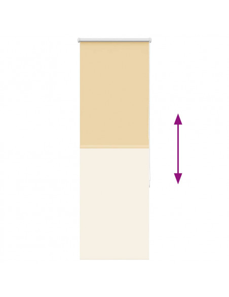 Tenda a Rullo Oscurante 60x175 cm Larghezza Tessuto 55,7 cm