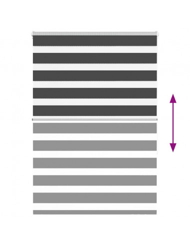 Tenda a Rullo Zebra Nero Larghezza Tessuto 100,9 cm Poliestere