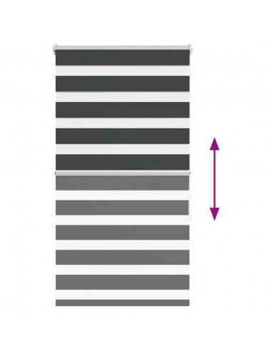 Tenda a Rullo Zebra Nero Larghezza Tessuto 85,9 cm Poliestere