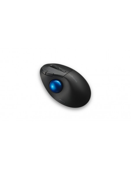 Kensington Pro Fit Ergo TB450 mouse Ufficio Mano destra RF senza fili + Bluetooth Trackball 1600 DPI