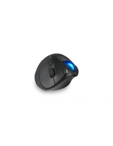 Kensington Pro Fit Ergo TB450 mouse Ufficio Mano destra RF senza fili + Bluetooth Trackball 1600 DPI