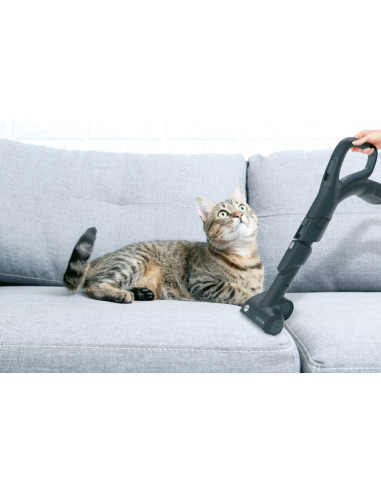 Hoover H-POWER 700 , Aspirapolvere a traino, 2L, 850W, Senza sacchetto