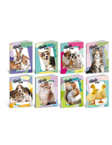 CF10 HELLO PETS 100G 24FF+1 0B