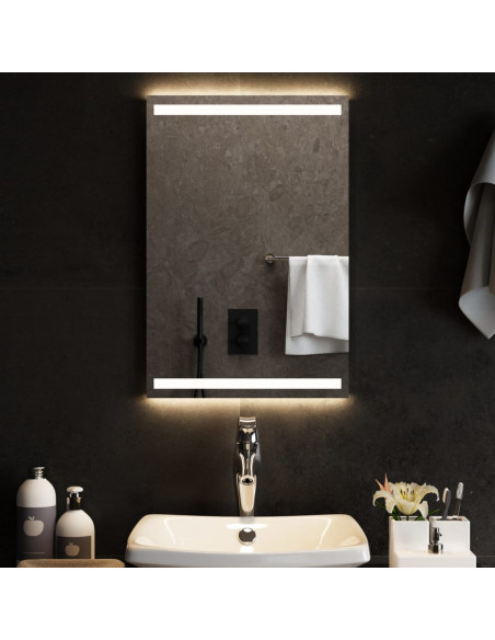 Specchio da Bagno con Luci LED 40x60 cm