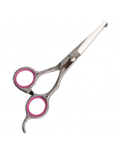 Set Forbici da Toelettatura Cani 5 pz in Acciaio Inossidabile