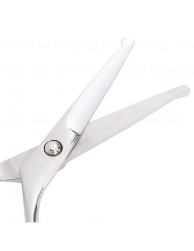 Set Forbici da Toelettatura Cani 4 pz in Acciaio Inossidabile