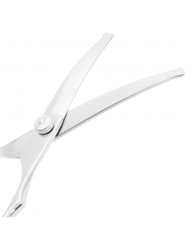 Set Forbici da Toelettatura Cani 7 pz in Acciaio Inossidabile