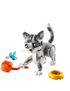 GATTO GIOCOSO 2