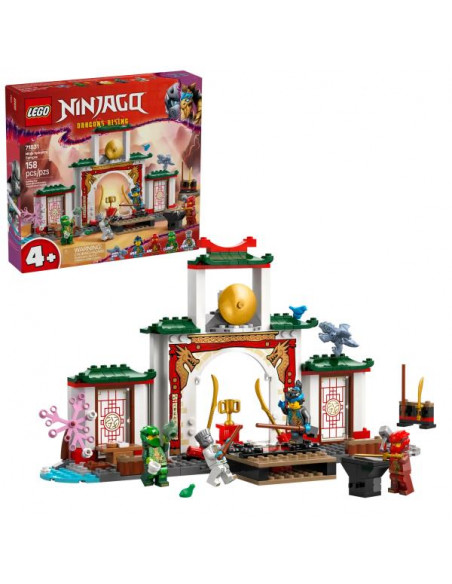 TEMPIO DELLO SPINJITZU NINJA