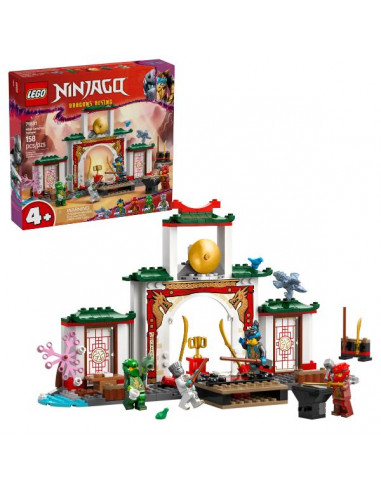 TEMPIO DELLO SPINJITZU NINJA