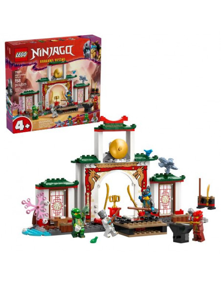 TEMPIO DELLO SPINJITZU NINJA
