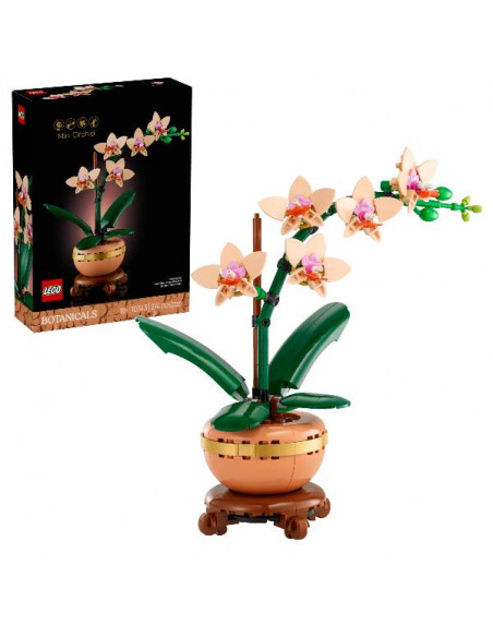 MINI-ORCHIDEA