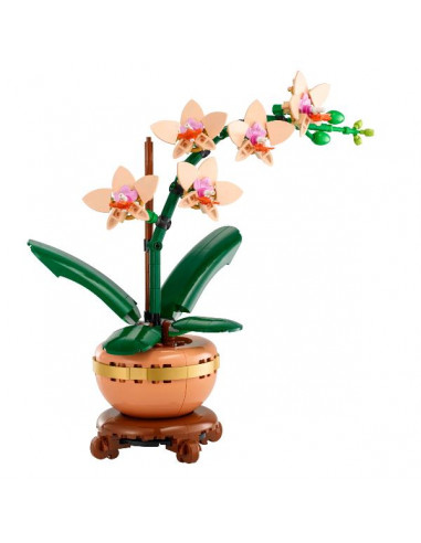 MINI-ORCHIDEA