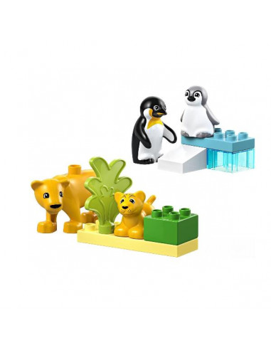 FAMIGLIE ANIMALI PINGUINI LEONI