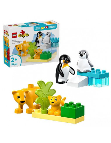 FAMIGLIE ANIMALI PINGUINI LEONI