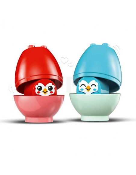 L ALBERO DELL EQUILIBRIO