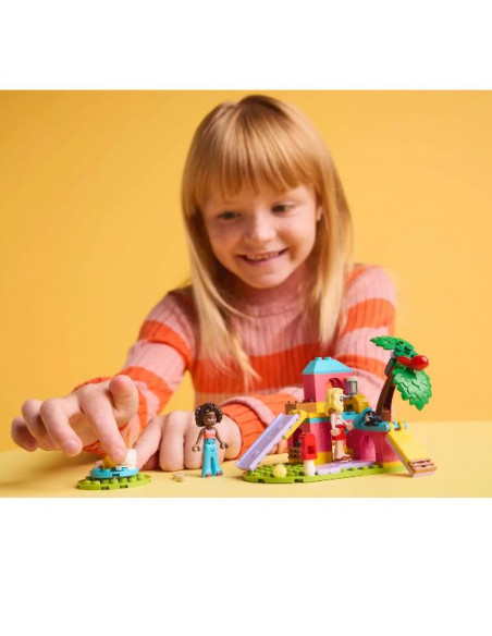 IL PARCO GIOCHI PORCELLINI D INDIA