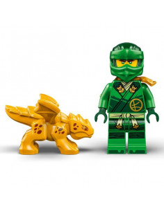 DRAGO DELLA FORESTA VERDE DI LLOYD 2