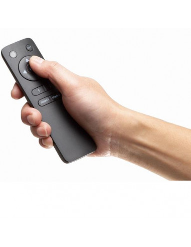 55"-100" FIXED MOTORIZED WALL MOUNT