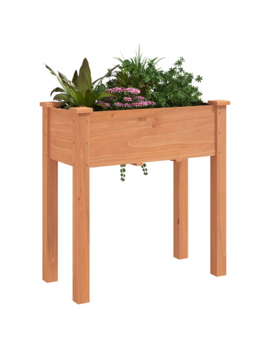 Fioriera con Fodera Marrone 71x37x76 cm Legno Massello di Abete