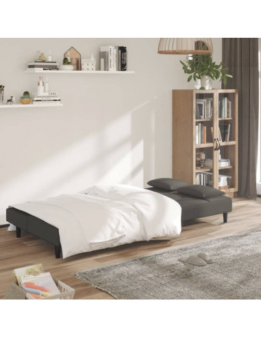 Divano Letto a 2 Posti con 2 Cuscini Grigio Scuro in Velluto