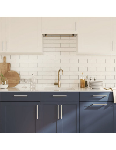 Maniglie per Mobili 20 pz Argento 224 mm in Acciaio Inox