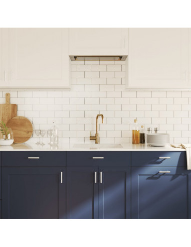 Maniglie per Mobili 20pz Argento 64mm in Acciaio Inox