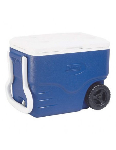 Frigorifero ghiacciaia Coleman 2000036087 Performance 40 Qt Blu Blu