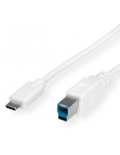 CAVO USB C-B M/M MT.1 80