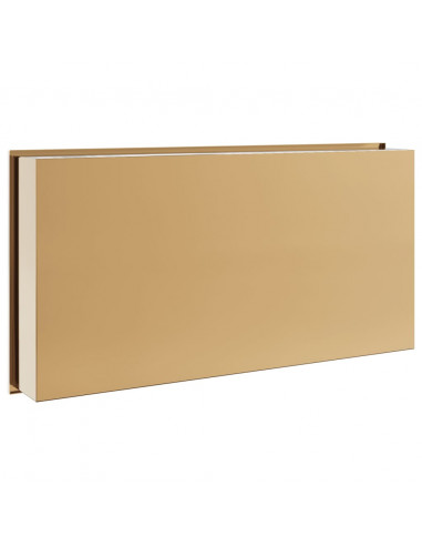 Nicchia per Doccia Oro Spazzolato 62x32x9cm in Acciaio Inox