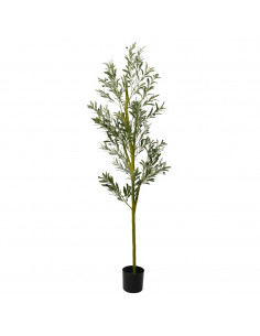 Albero Ulivo Artificiale 800 Foglie 200 cm Verde
