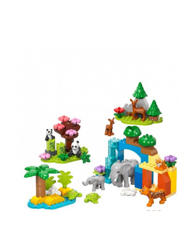 FAMIGLIE DI ANIMALI 3 IN 1