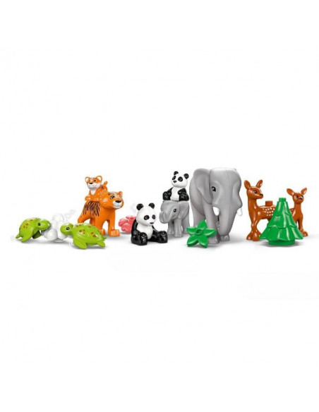 FAMIGLIE DI ANIMALI 3 IN 1