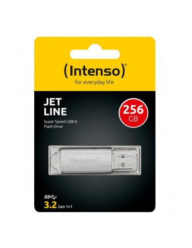 JET LINE USB  256 GB