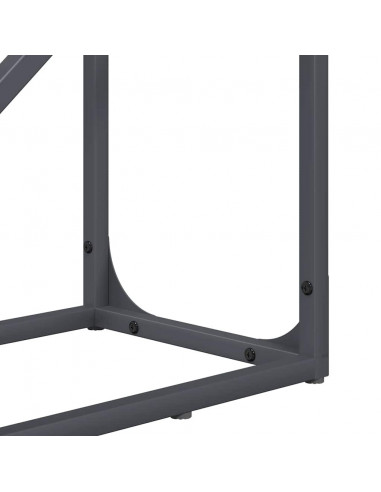 Rastrelliera per Legna da Ardere Antracite 40x25x100 cm