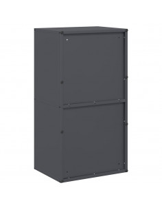 Rastrelliera per Legna da Ardere Antracite 40x30x75 cm 2
