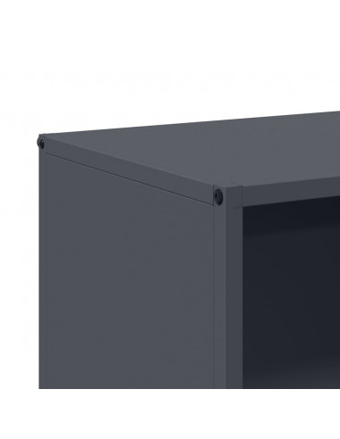 Rastrelliera per Legna da Ardere Antracite 40x30x75 cm