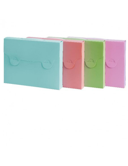 VALIGETTA PASTELLO 38X29 D5 PP ASS