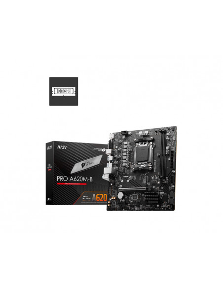 PRO A620M-E