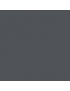 Rastrelliera Legna da Ardere con Piano Antracite 100x40x60 cm