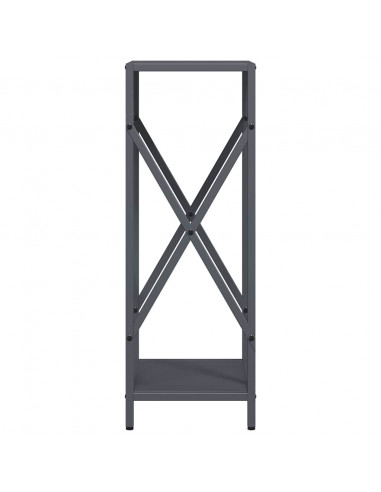 Rastrelliera per Legna da Ardere Antracite 34x25x70 cm