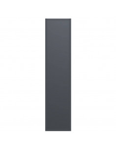 Rastrelliera per Legna da Ardere Antracite 50x23x100 cm